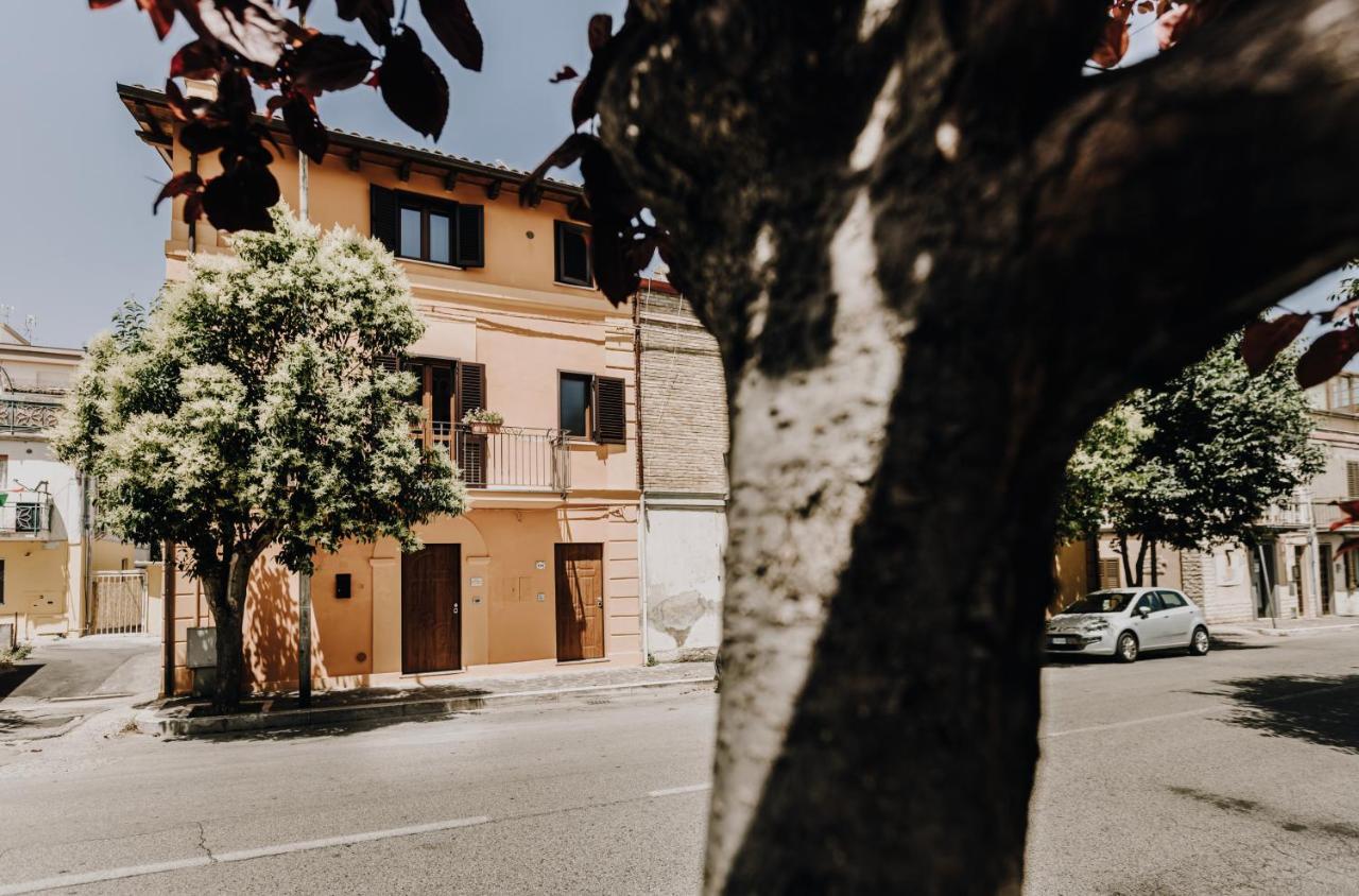 La Cicala Vasto